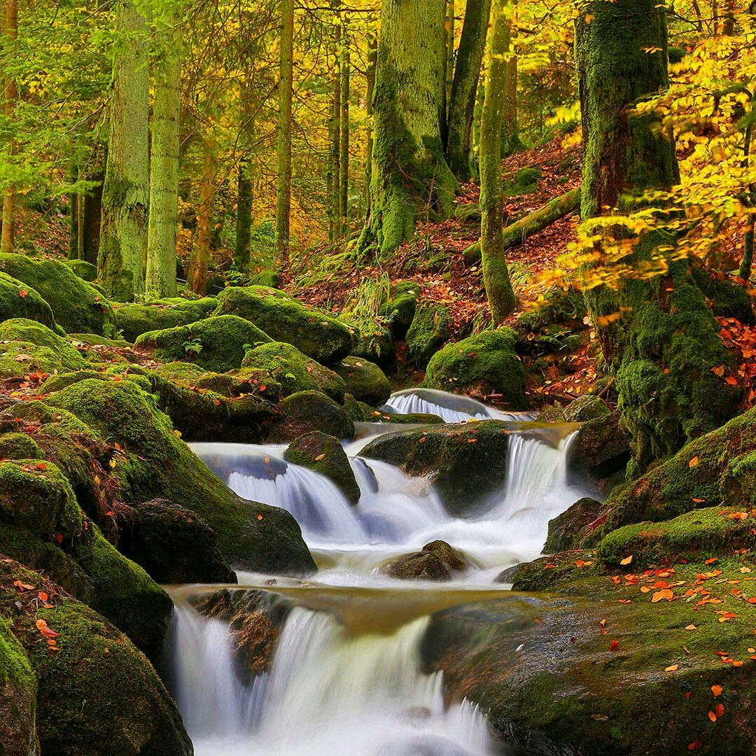 🐣飞飞🐣十字绣