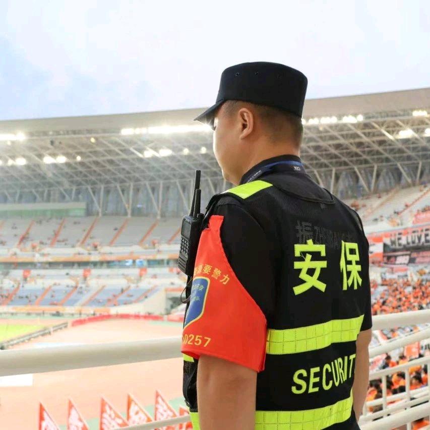 龙盾安保