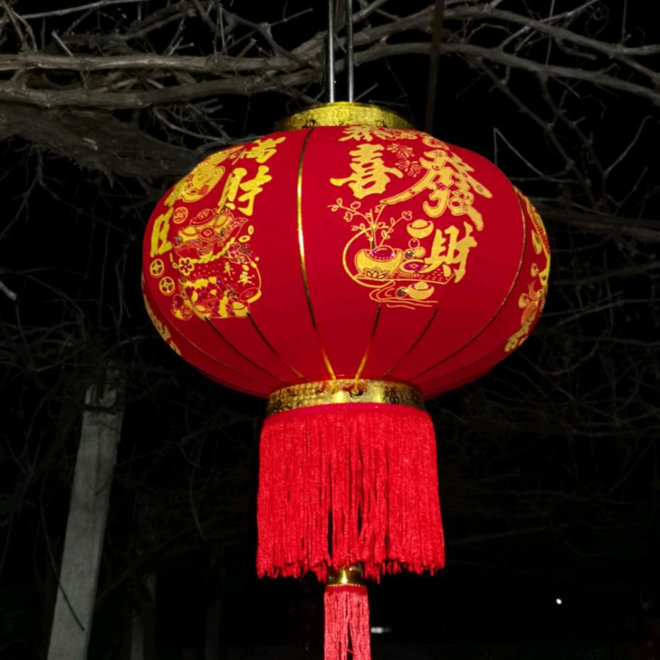 刘三岁🌹