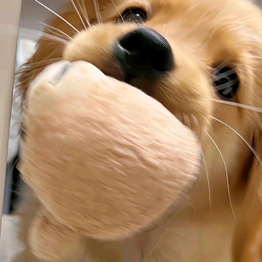 ദ്ദി˶•̀֊•́)✧