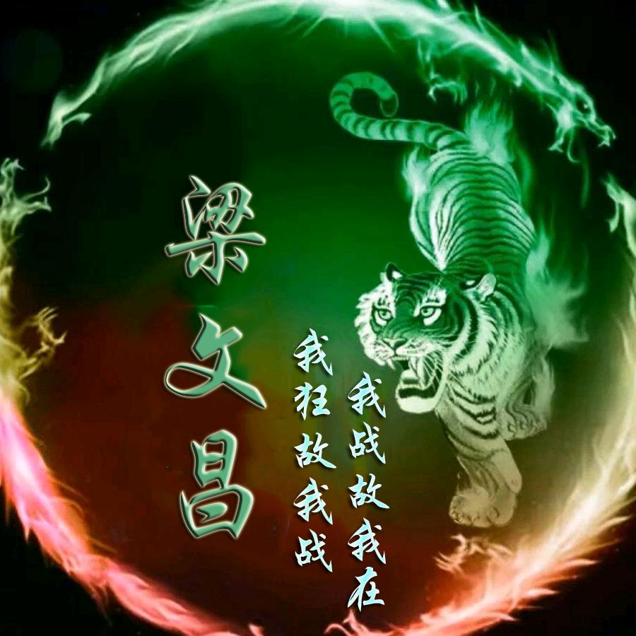 少年决恋