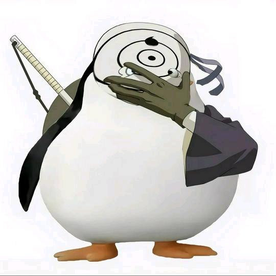 冬日暖阳