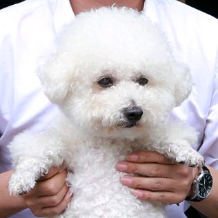 阿曼多