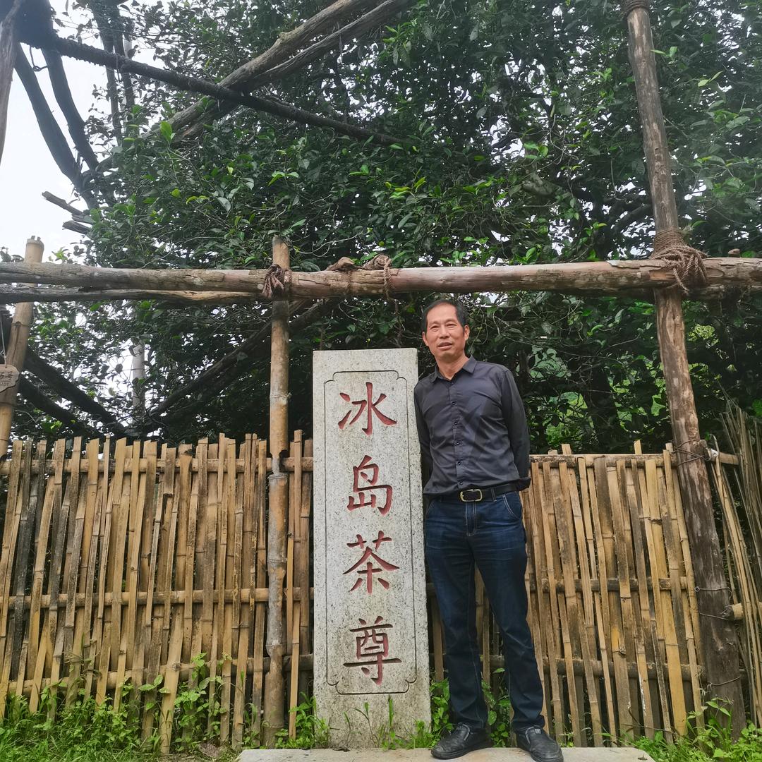 中老期茶黄舜
