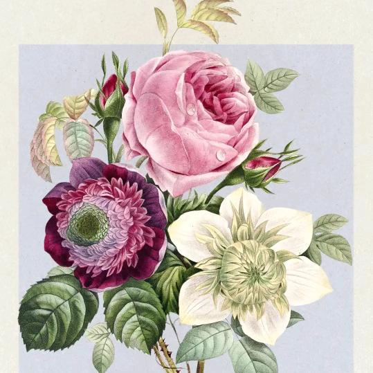 阿妹是个农村人三姐