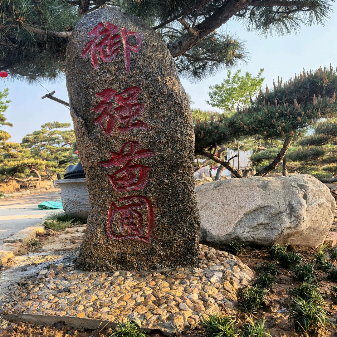 自强不息：十六弟