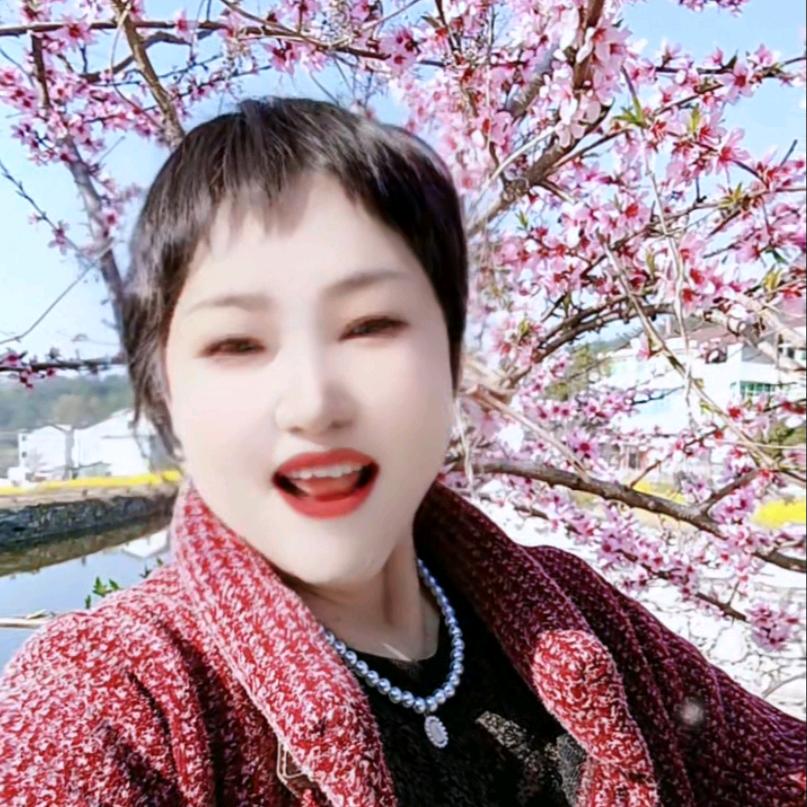 李姐（不直播）