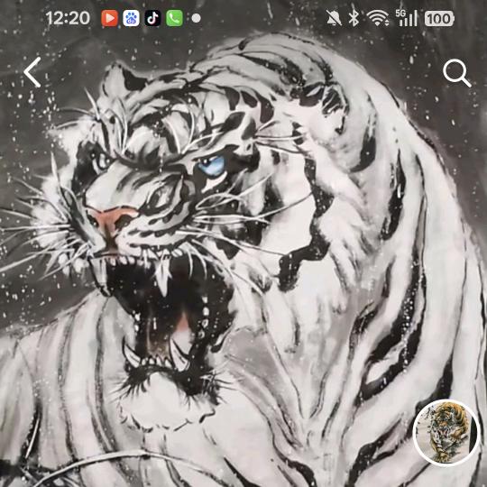 刘军画虎，中国画虎村协会，会员，村主任