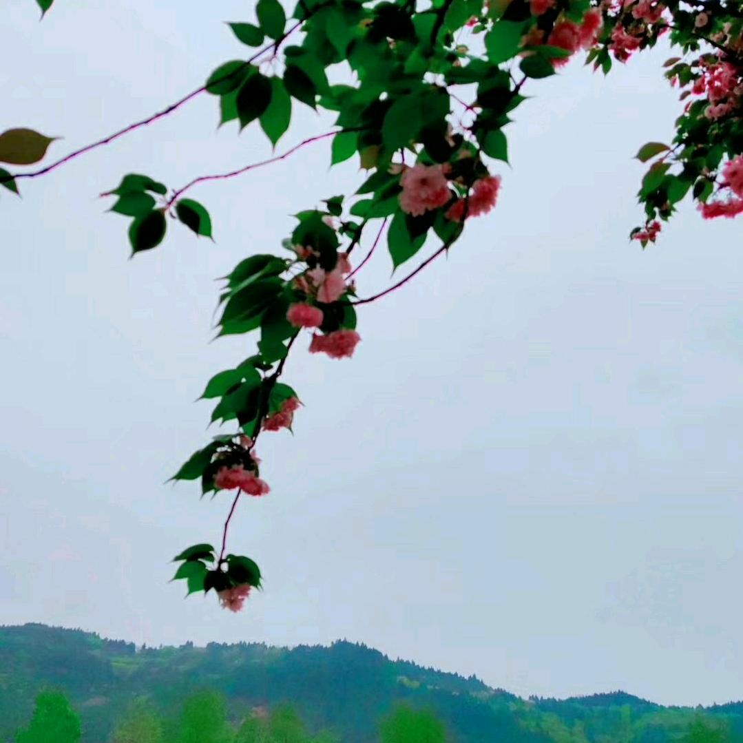 幸福一生