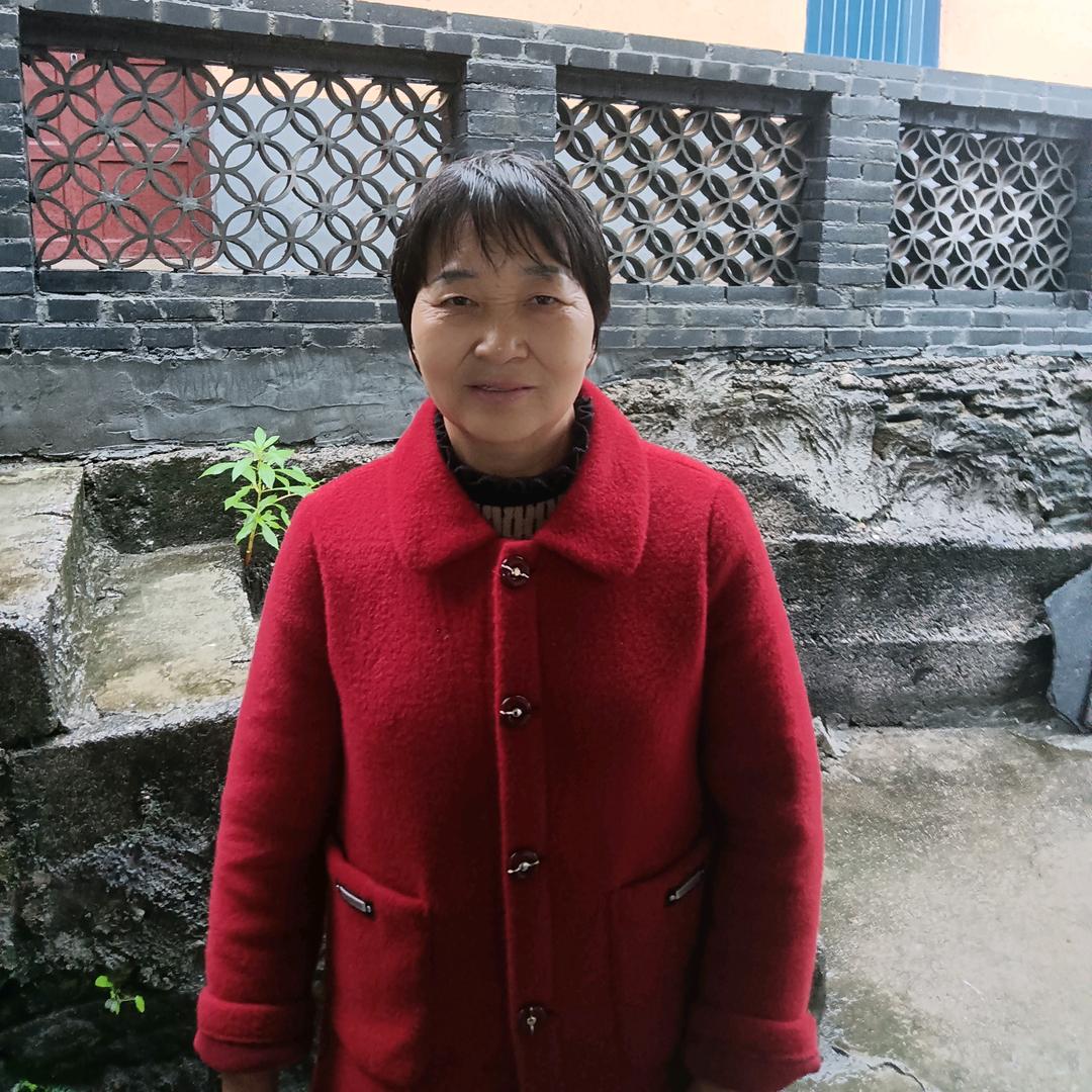 李家菊 (晚上19点直播)