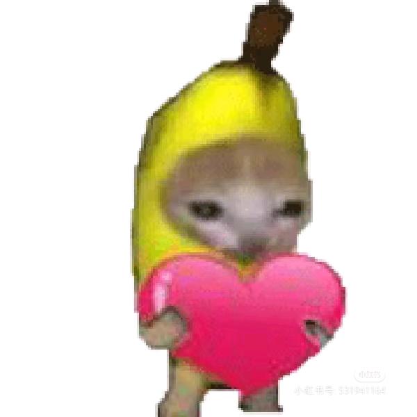 香蕉株洲电脑回收