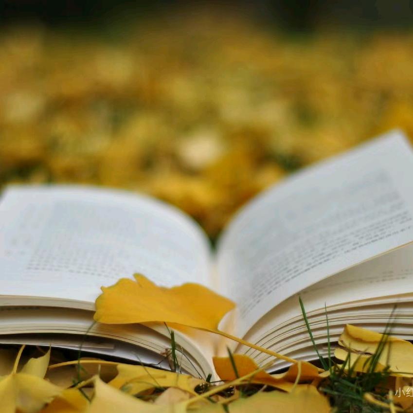 ໌້ᮨ໌້໌Yaᴗangᥫᩣ