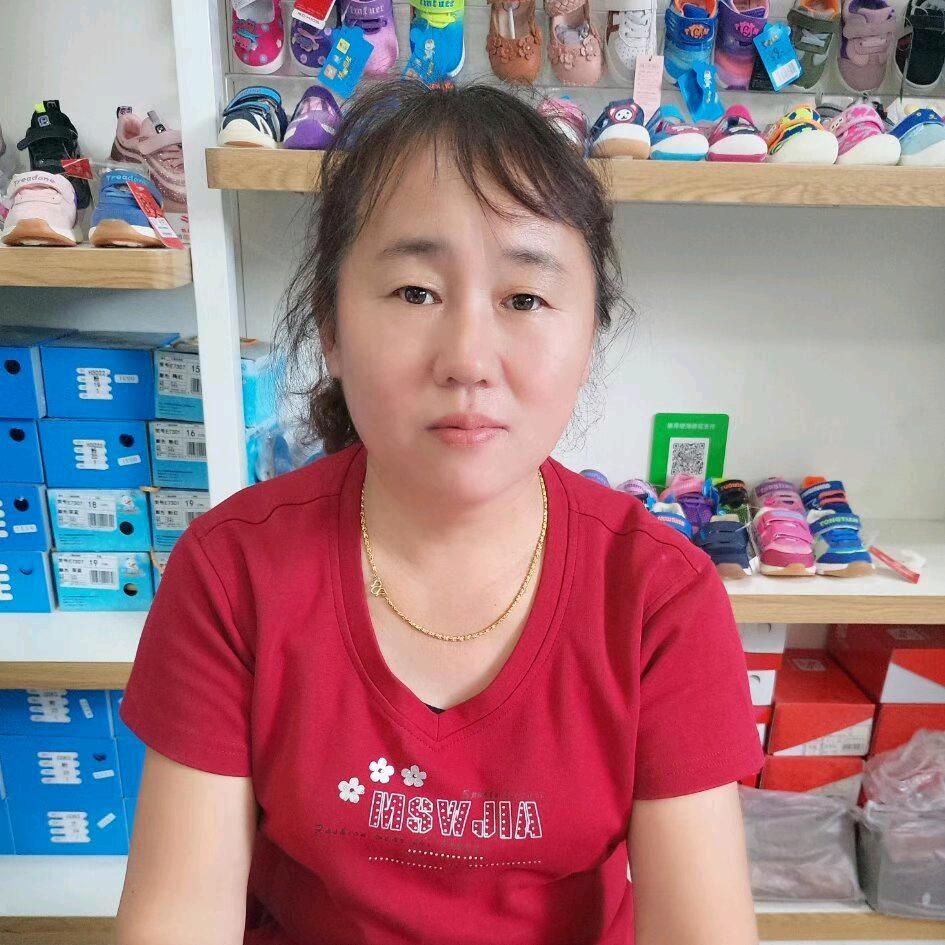 飞吧燕子