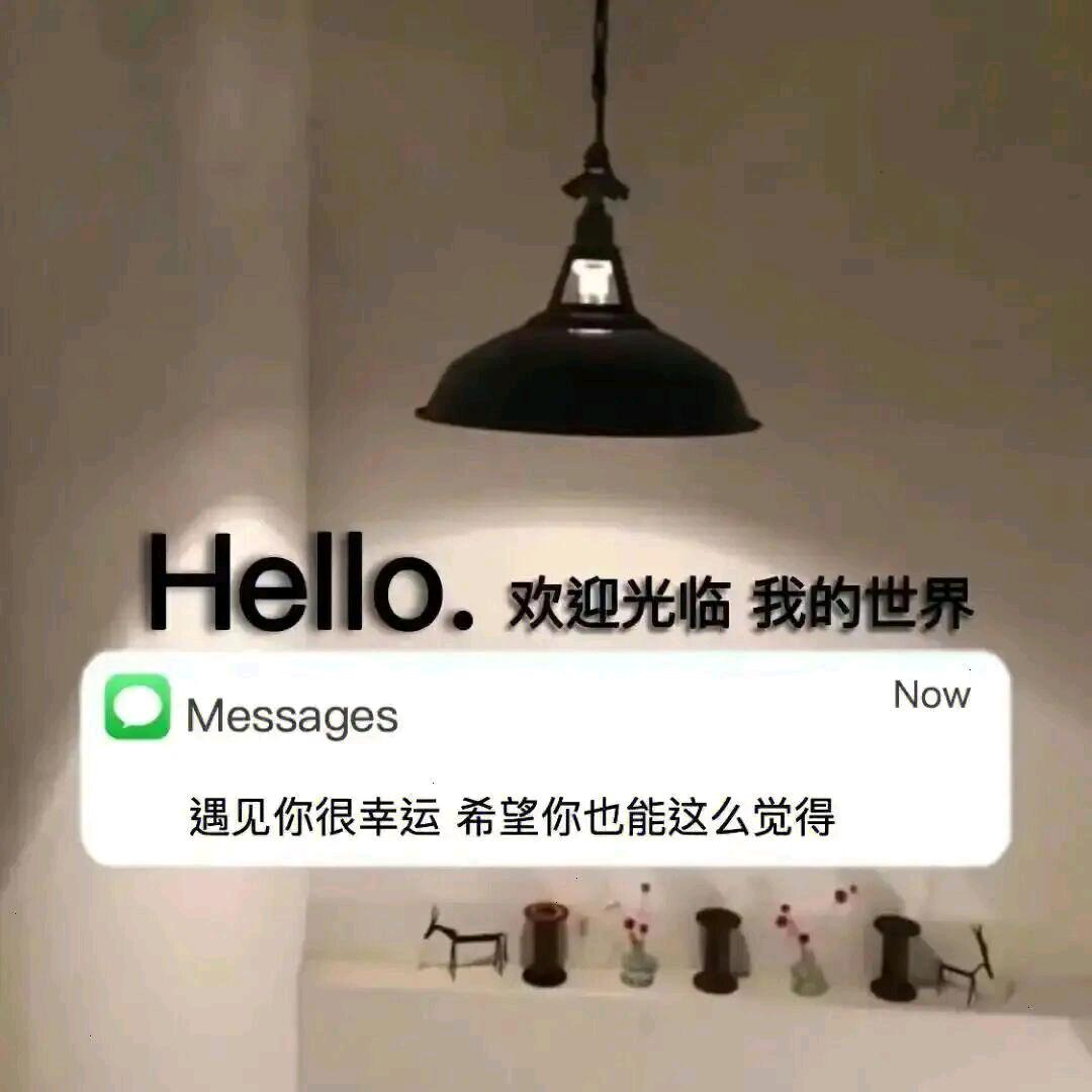 肇庆手打柠檬茶 《小罗罗努力版》