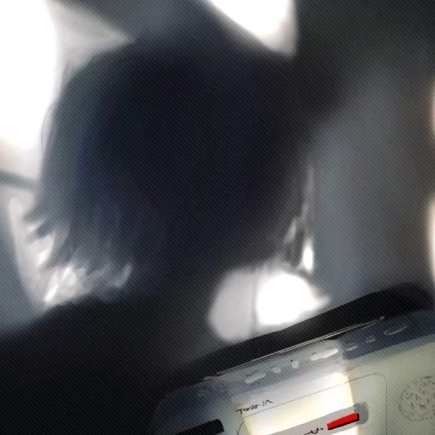 薇尔莉特