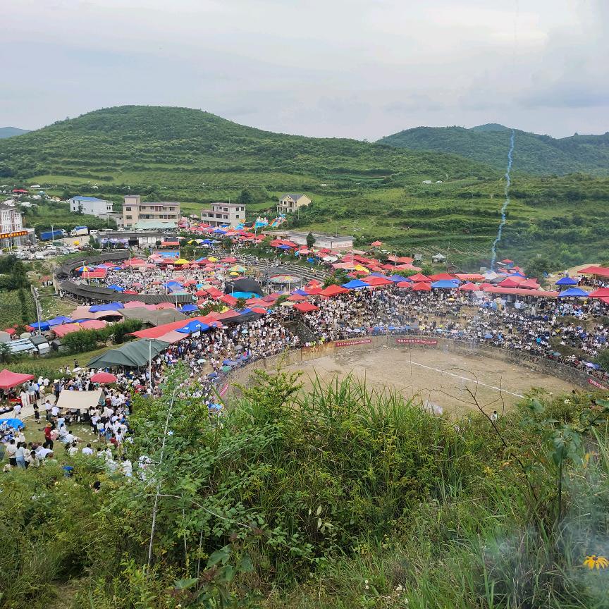 用户5682396773108王平