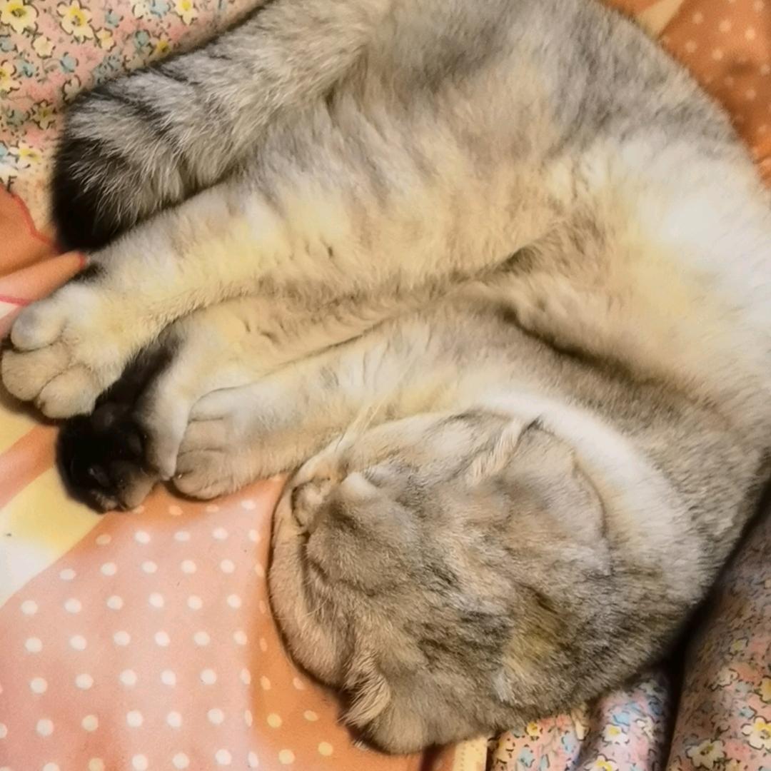 在途中