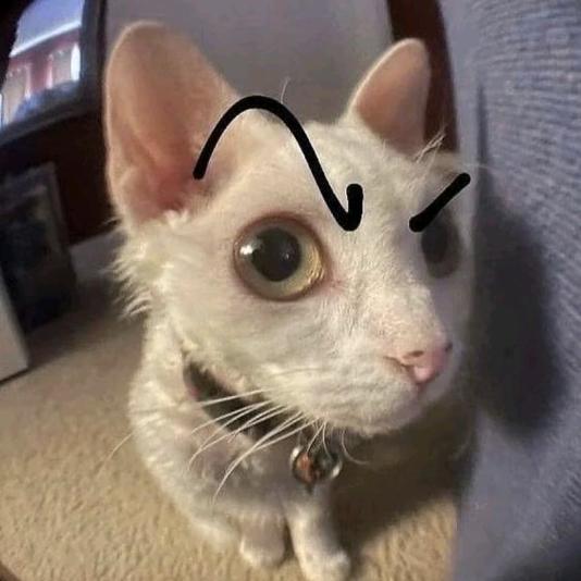 不困