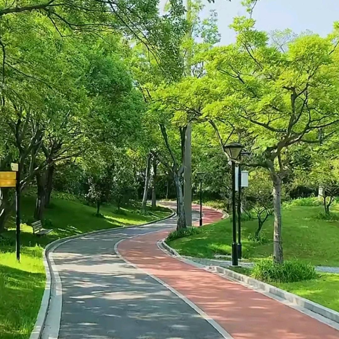 清风明月