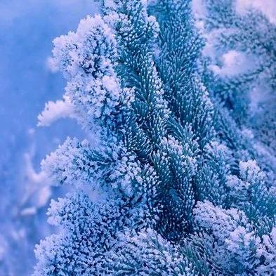 鑫源服务站江辰半挂二手车