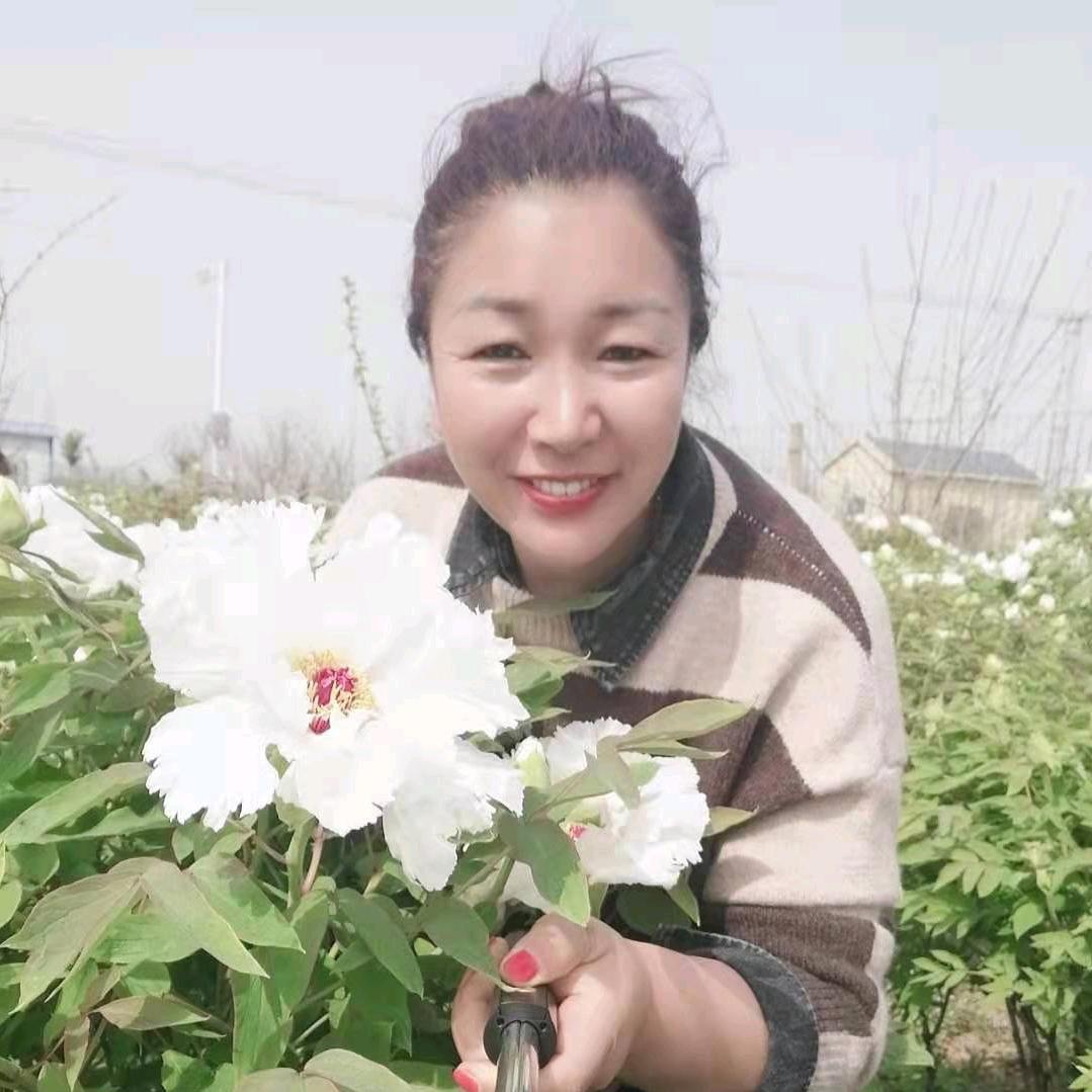 🌾悠悠芳草香