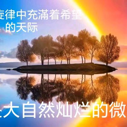 入驻网络世界