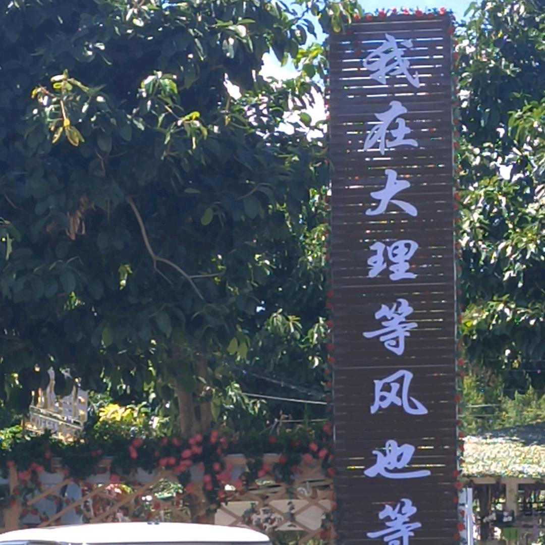 糟老头子坏得很