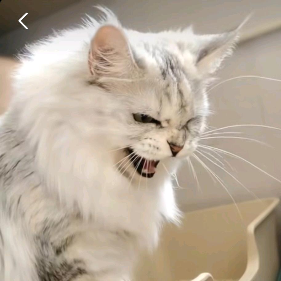 拾壹🈷️💞又拾壹💤