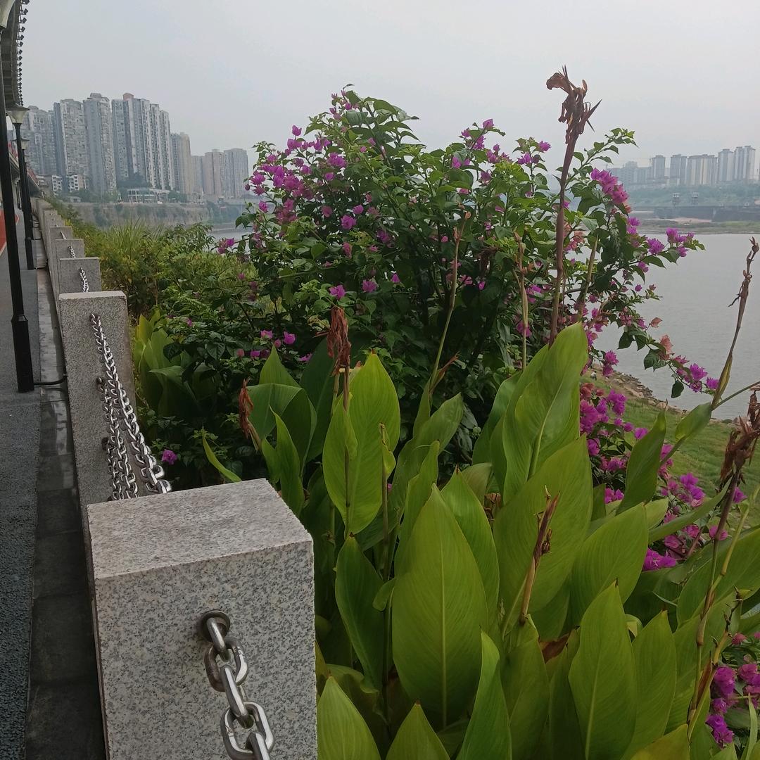 岁月静好