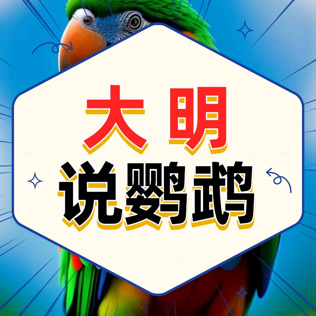 大明说鹦鹉之宠头到角