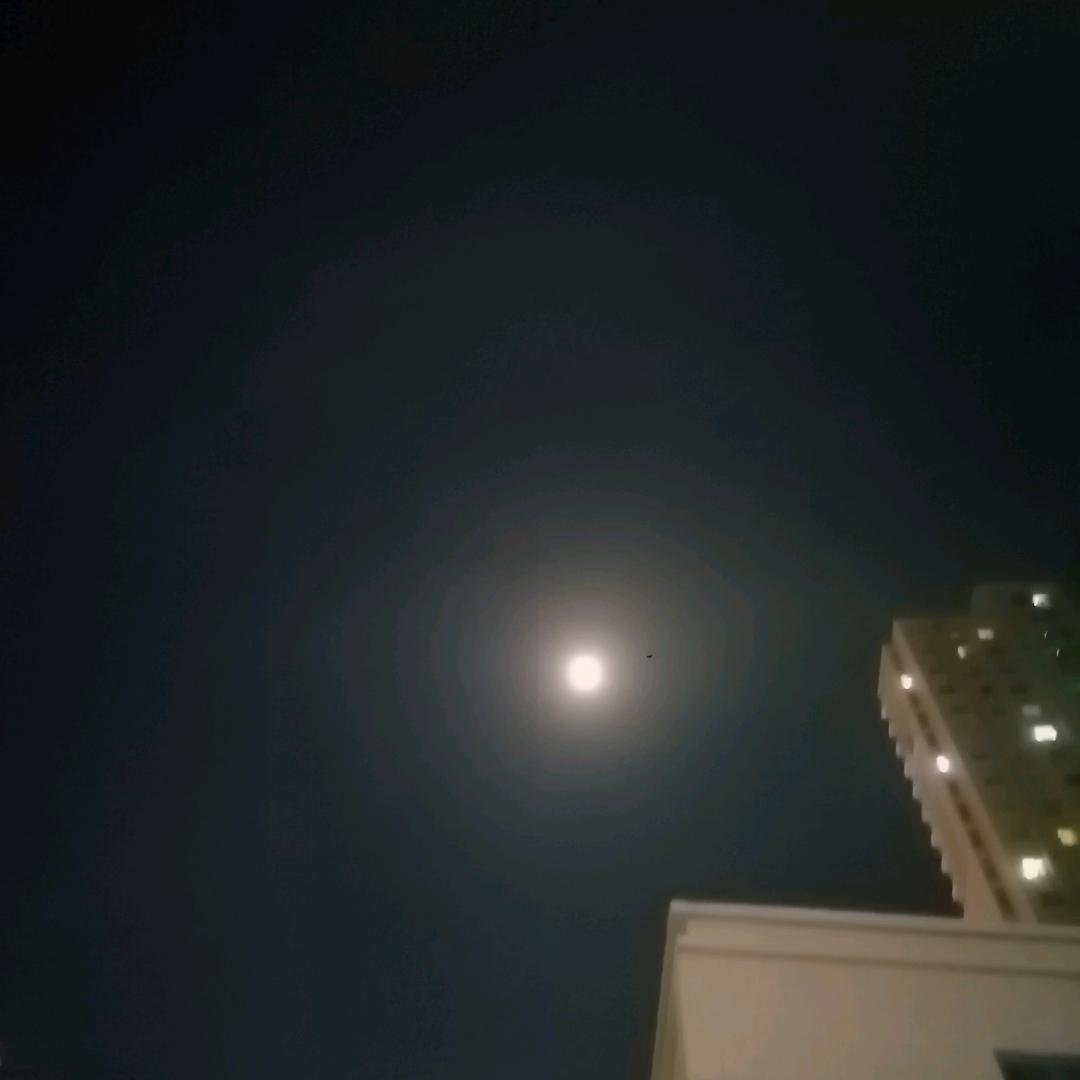 纠结者