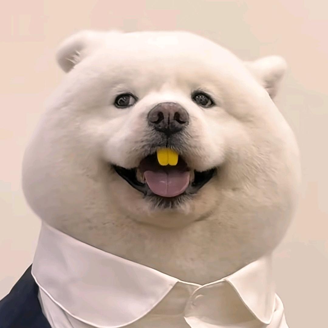 这位同学
