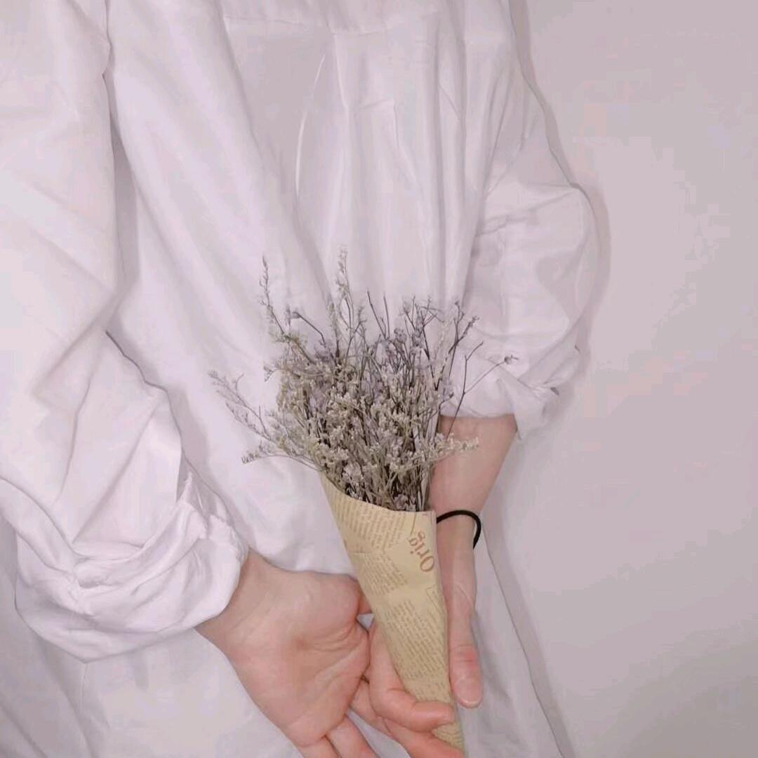 💃风Y头