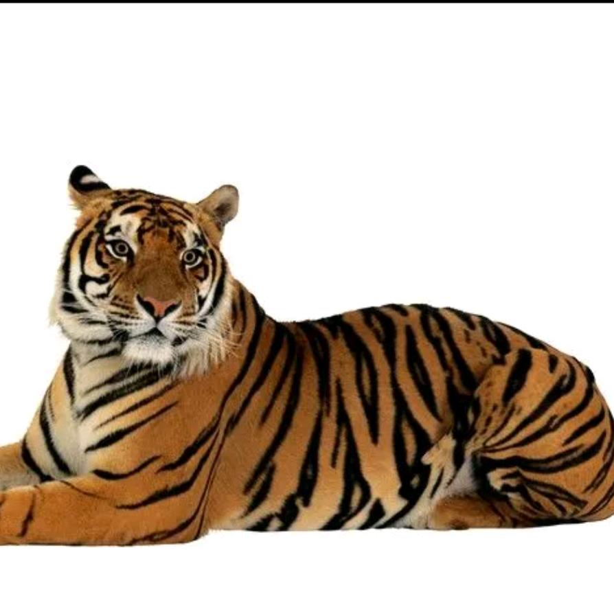 小桂子设计工作室