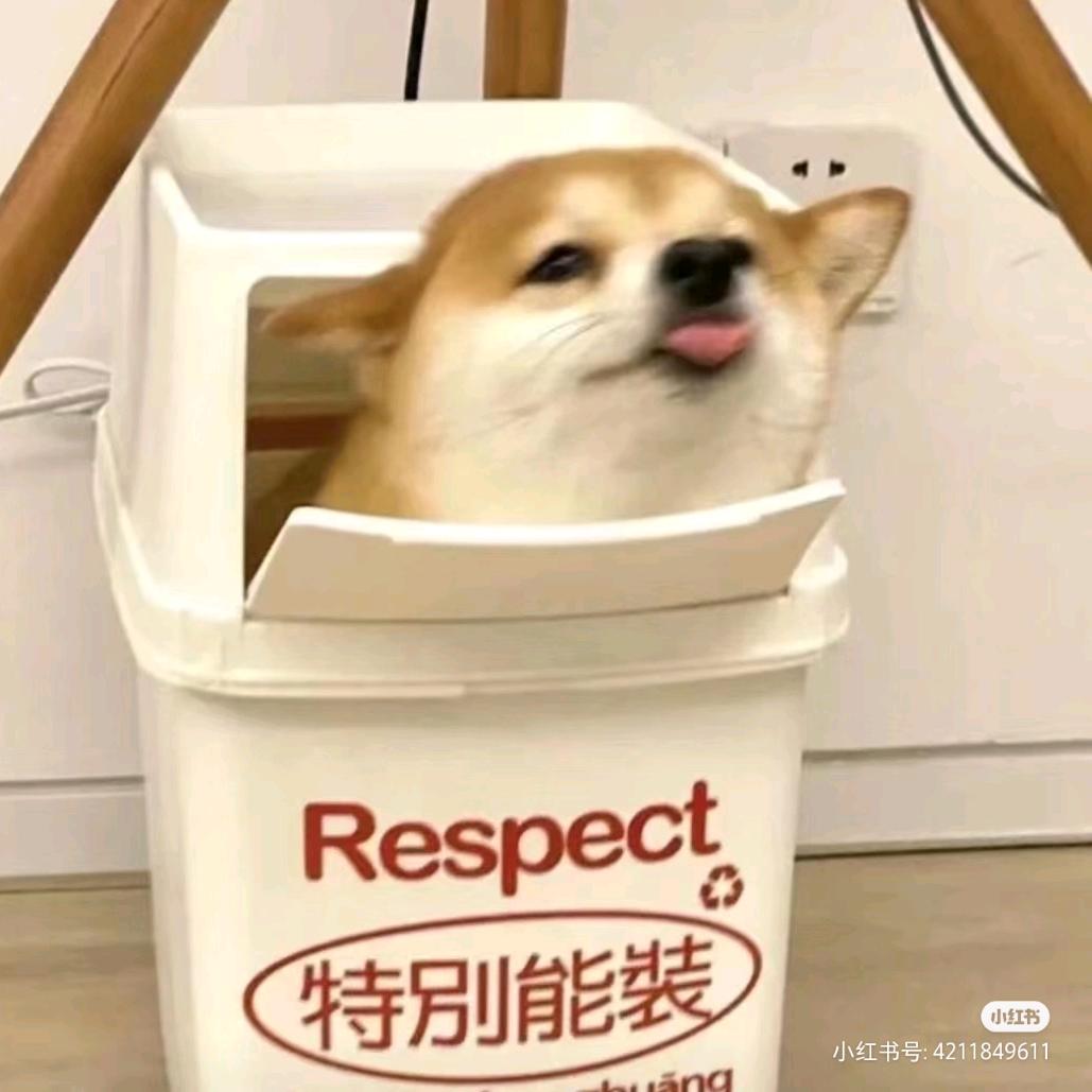 L」