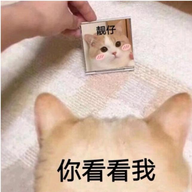 你就像是一头像