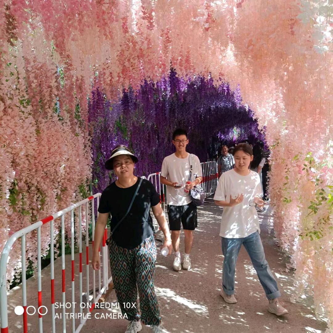 燕子开心