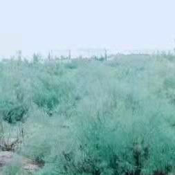 宝哥94756883222