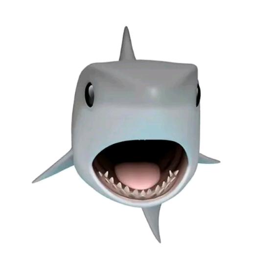 sharkk