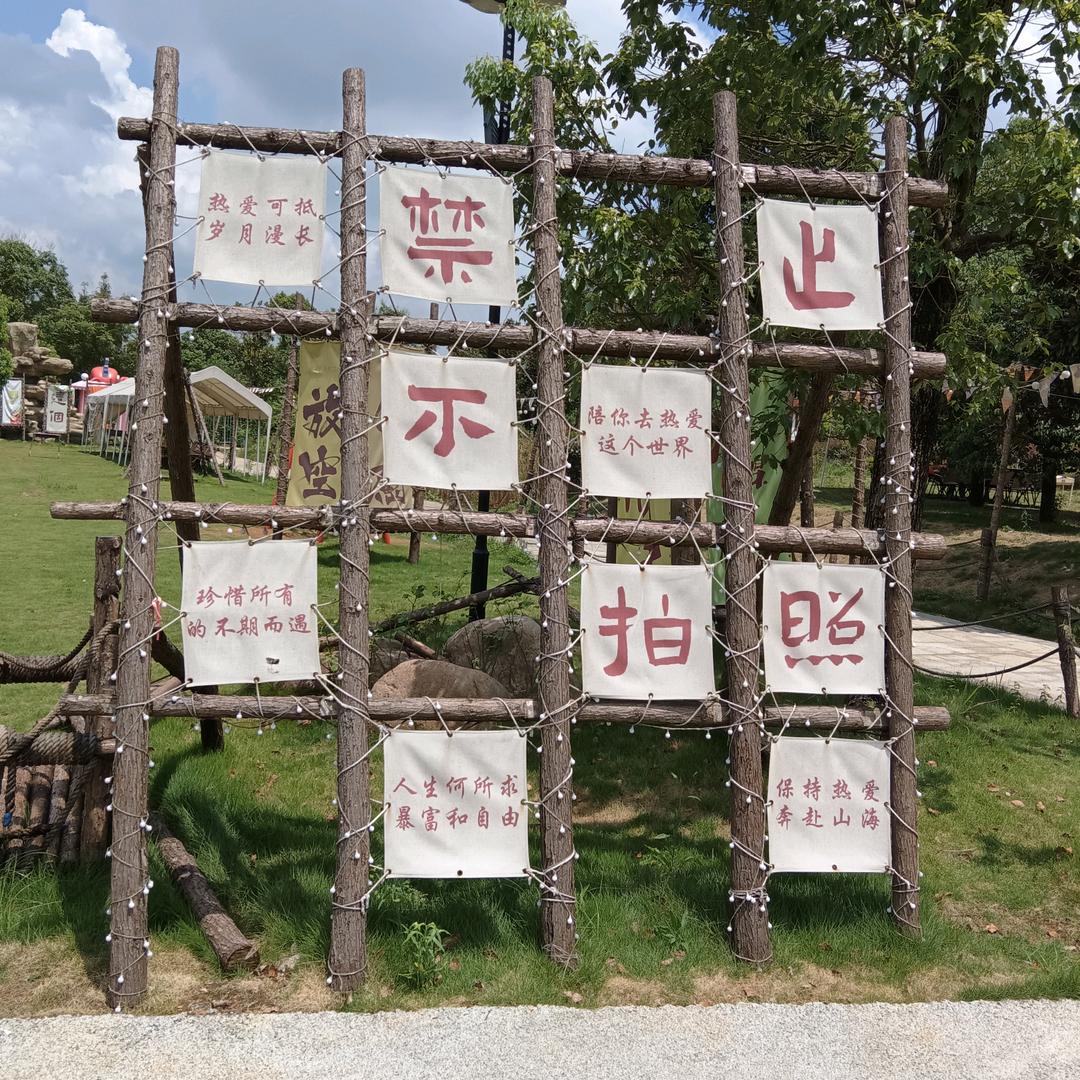 贝贝南瓜