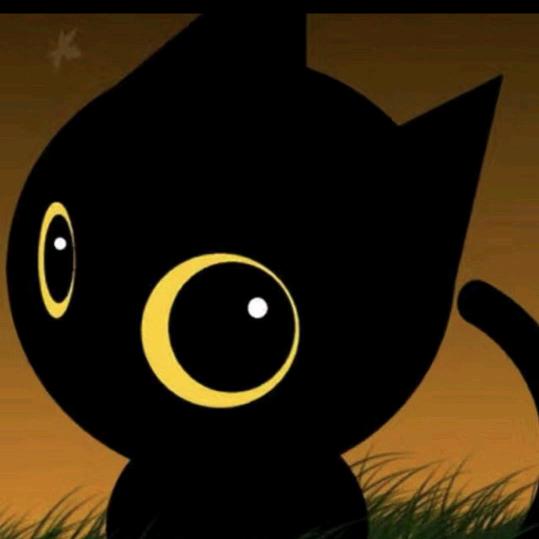 黑喵🐈‍⬛