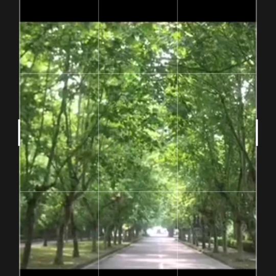 做个真实的自己