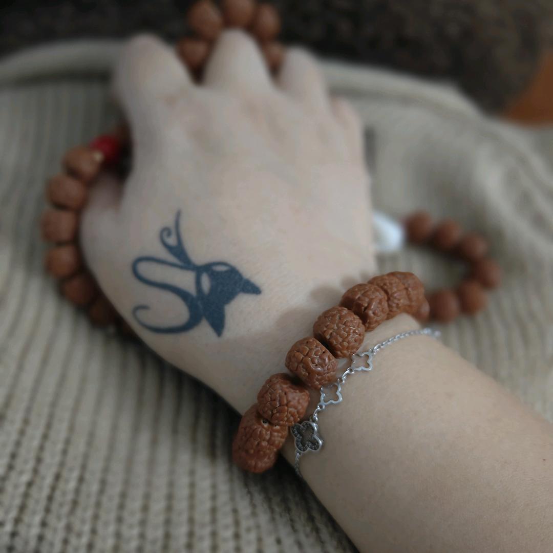 钟情于你，终止于你🦊