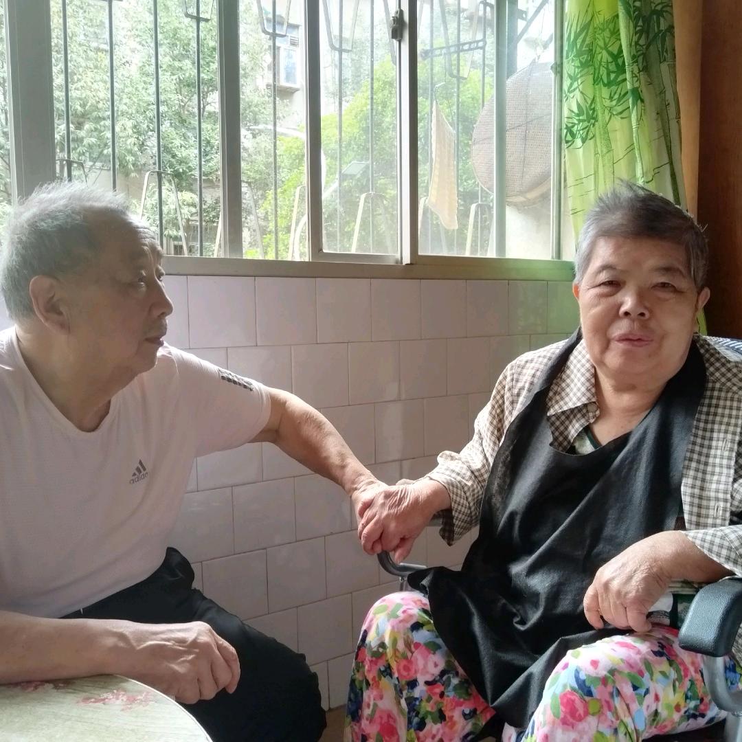 自由飞翔