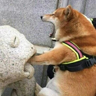 调解老奶奶吵架被一拐杖杵太阳穴上了