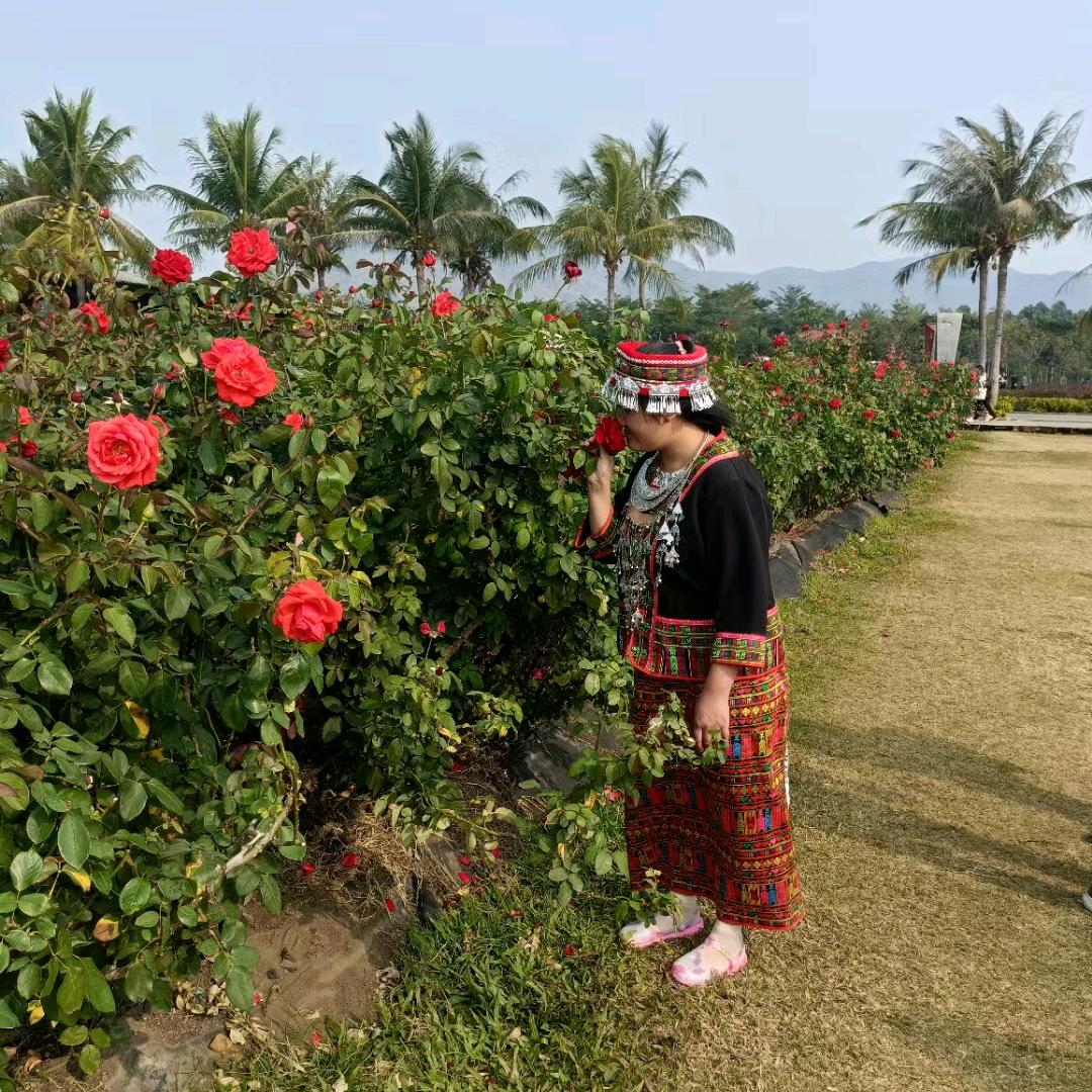 草原上的小卓玛