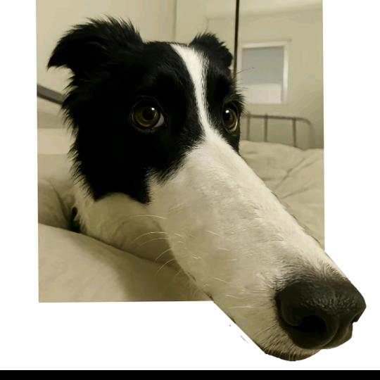 ୧⍤⃝进击的麻薯