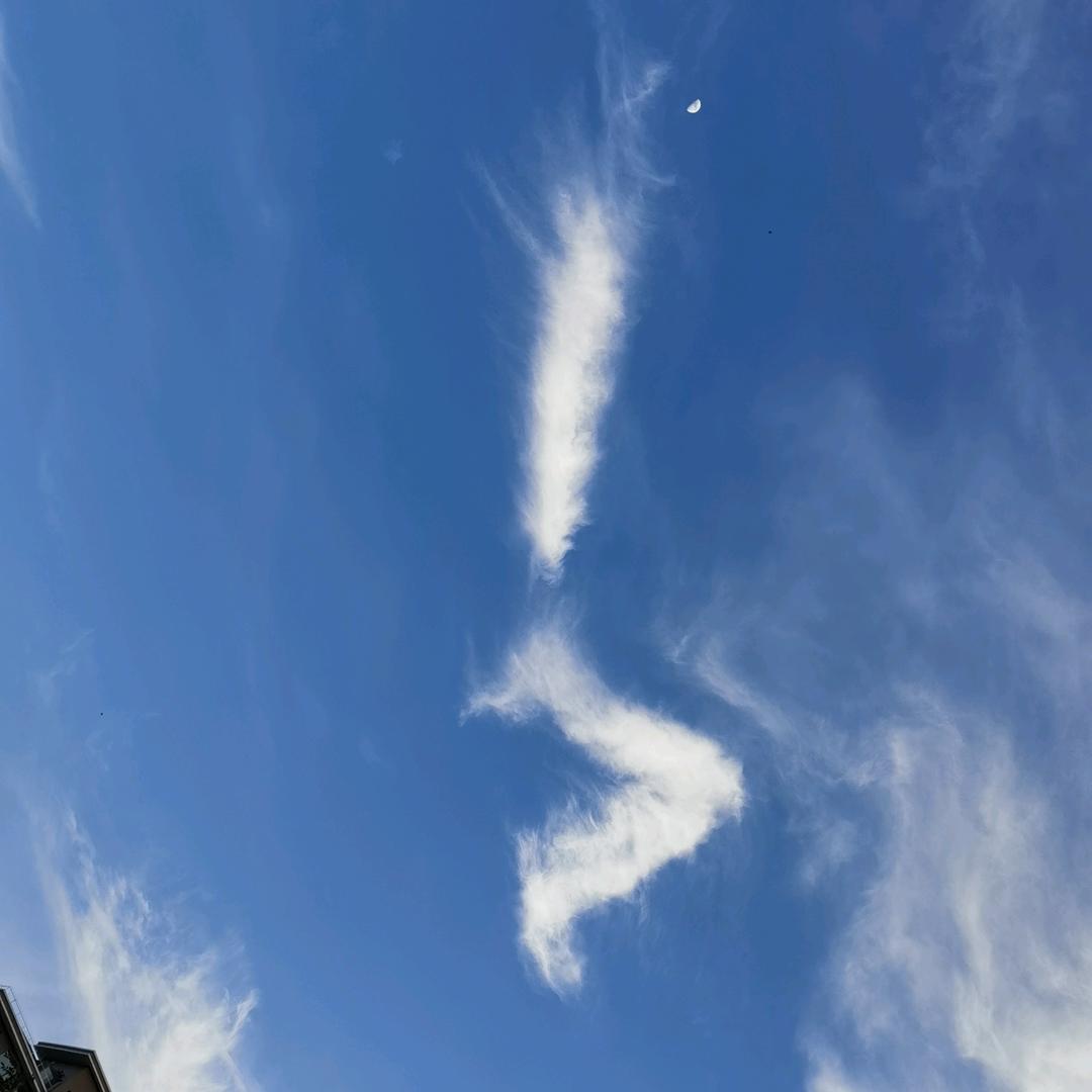 信息部