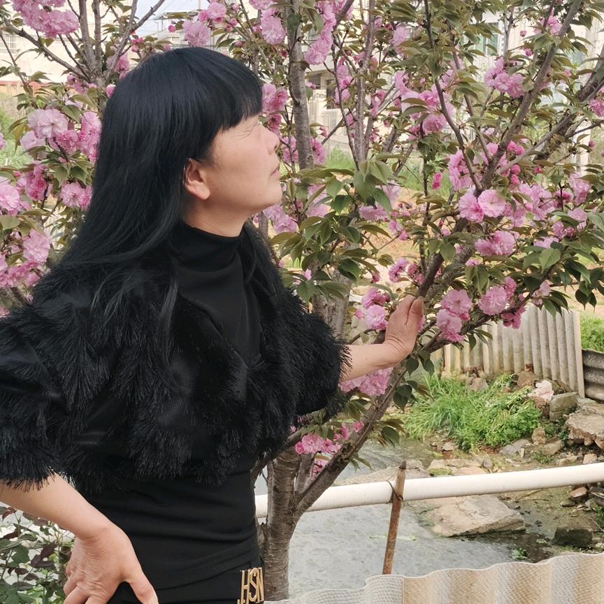 茅亭桂花豆糕