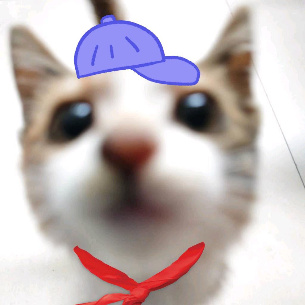 反方向的冲